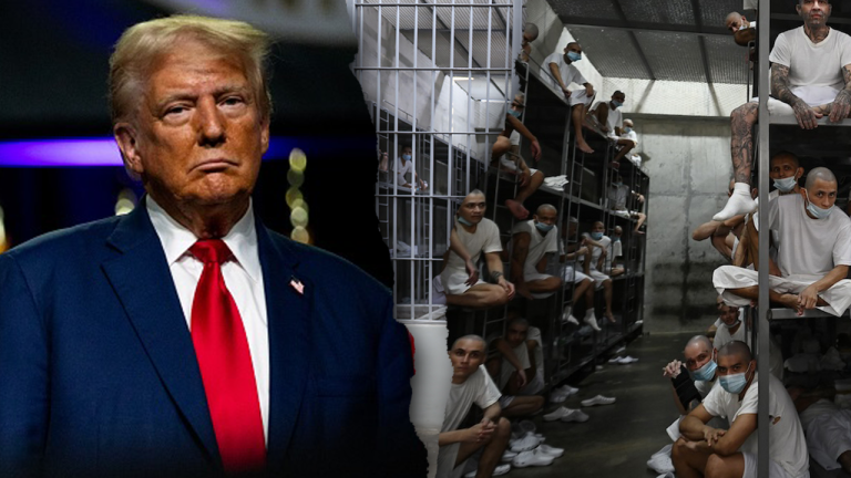 Social media users call out what they call latest Democratic ‘photo-op’ stunt
