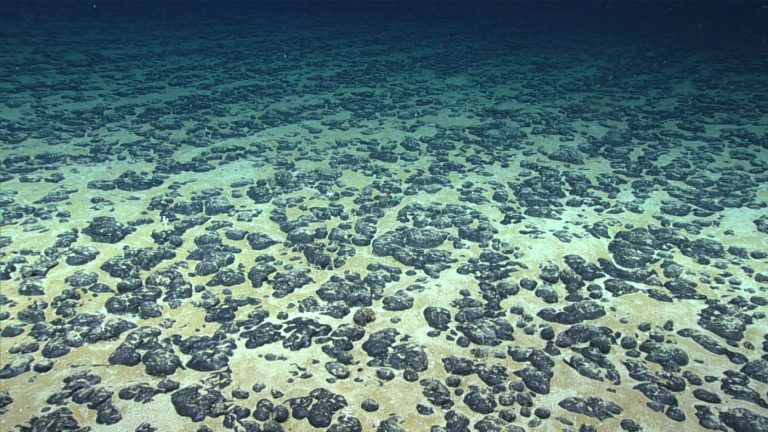 Trump signs executive order aimed at opening deep sea for mining : NPR Trump signs executive order aimed at opening deep sea for mining : NPR